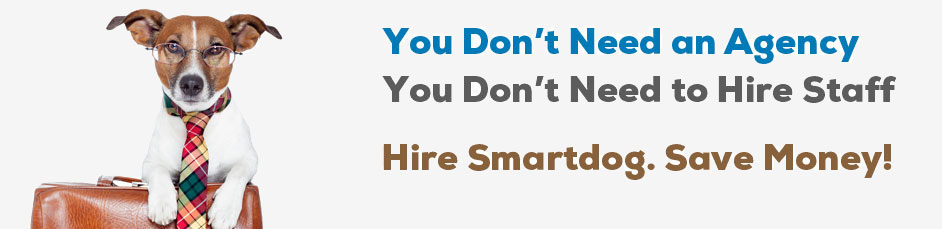 hiring a digital marketing consultant